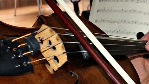 The violin, seen from the player's perspective looking down at the strings, the bow, and the fingers on the fingerboard.